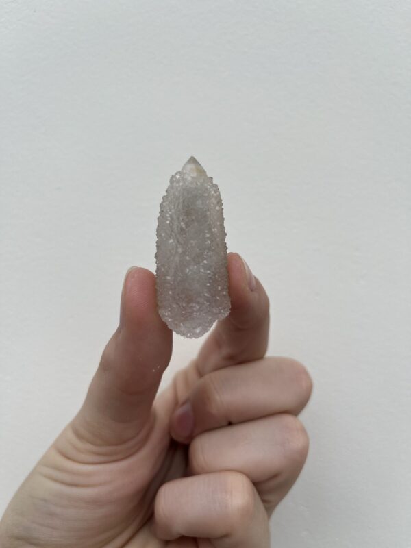 Witch's Fingers