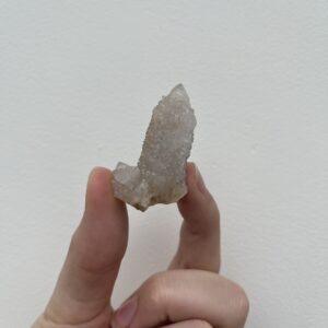 Witch's Fingers