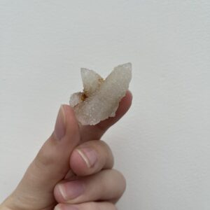 Witch's Fingers