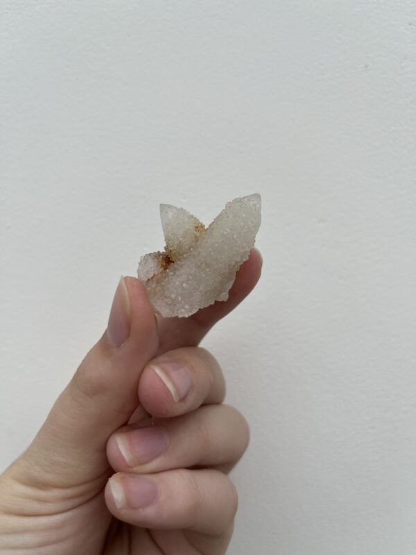 Witch's Fingers