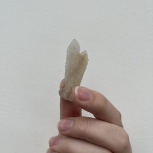 Witch's Fingers