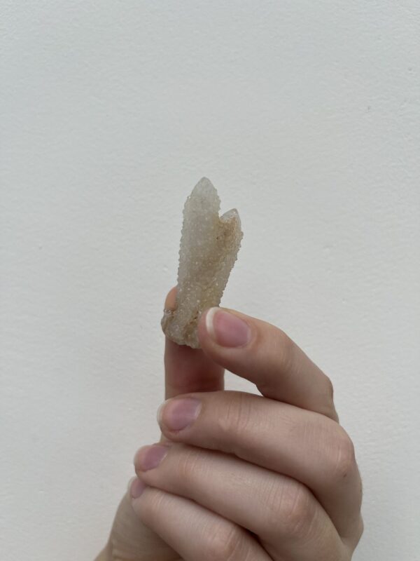 Witch's Fingers