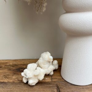 Calciet Cluster